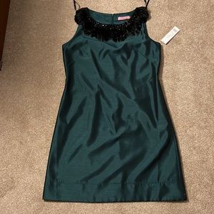 Nwt . Beautiful Eliza J short, sleeved, holiday A-line dress, non-smoking home